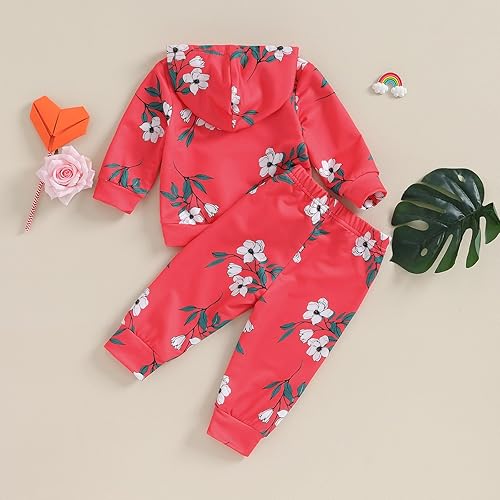 Miniatura 4 de Karwuiio Conjunto de 2 piezas para bebé recién nacido, sudadera con capucha y pantalones, ropa de otoño e invierno