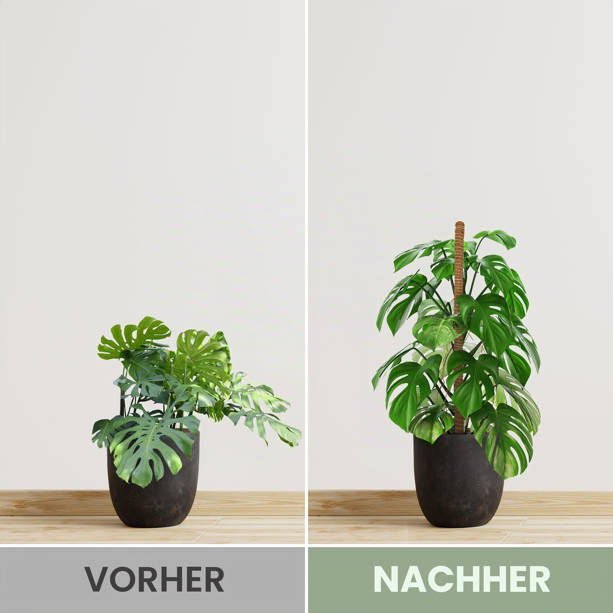 K-Brands 160 cm Moosstab für Monstera 2 Pack Biegsame Kokosfasern Pflanzenstütze für Kletterpflanzen -Rankhilfe für Monstera - Rankhilfe Blumenstab - Pflanzstab mit 3 m Pflanzenbinder