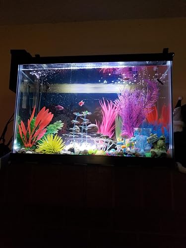 Review Image by Army_Soldier
