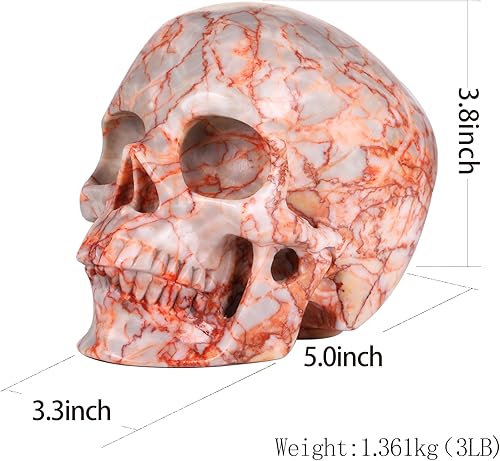 Miniatura 2 de MR.SKULL Estatua de calavera de cristal de jaspe de red de 5.0 pulgadas, súper realista, piedra curativa de cristal, escultura de piedra preciosa