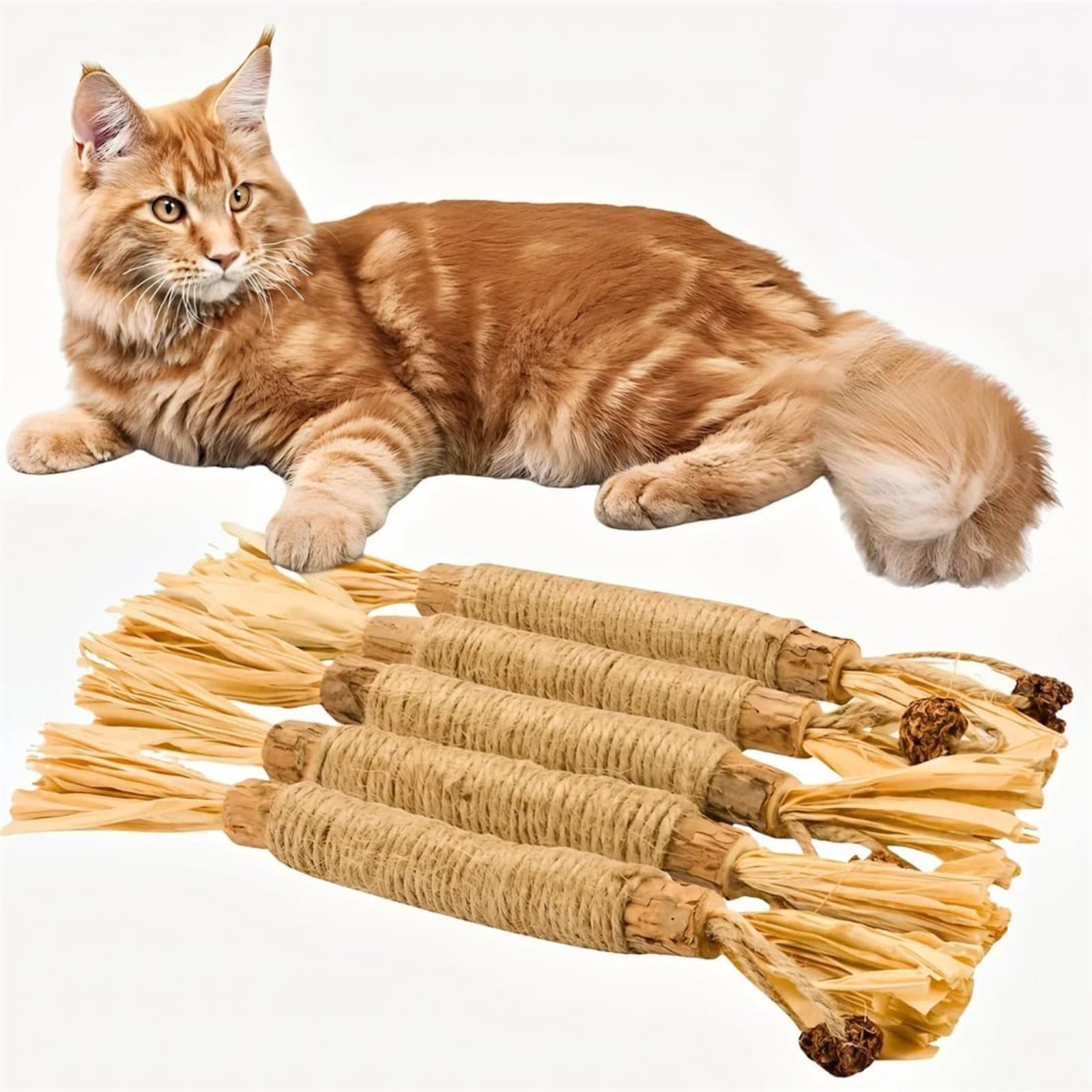 Bâtonnets Naturels pour Chats – Jouet Dentaire à Mâcher, Nettoyage des Dents & Haleine Fraîche – Anti-Stress & Anti-Ennui, Lot de 5/10/20,Bâtonnets à mâcher pour Chats, Jouets à mâcher pour Chats