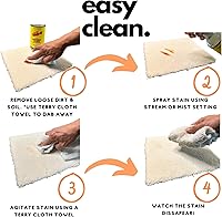 Vista 8 de Kit de removedor de manchas y concentrado Whip-It, 2 concentrados de 32 oz y 1 removedor de manchas en aerosol Pro de 32 oz, produce 64 botellas