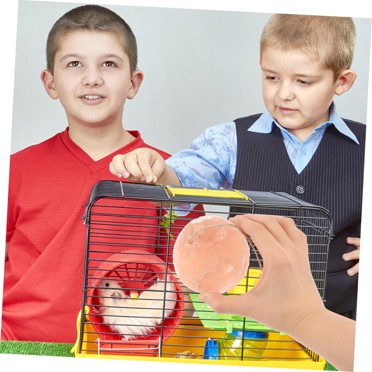 INOOMP 6stücke Kleine Salzlecksteine Für Kleintiere Mineralienreiche Salzblöcke Für Hamster Kaninchen Und Andere Nager Natürliche Nahrungsquelle Für Gesunde Ernährung
