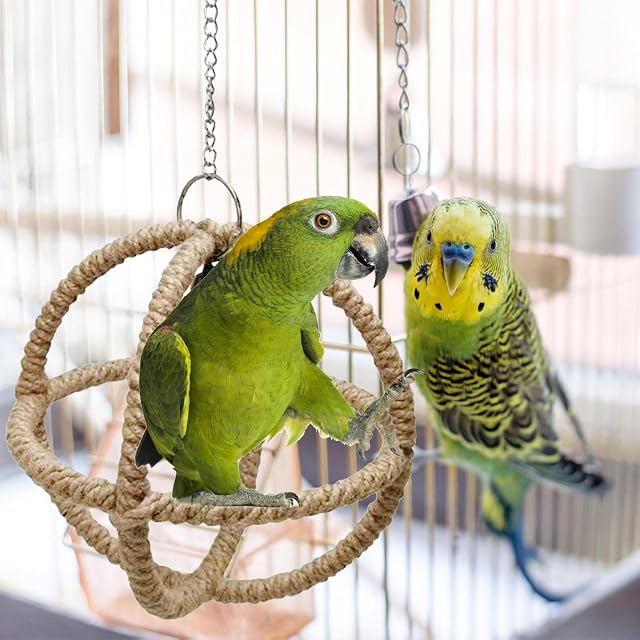 Foto 2 de 8 de dexun Juguetes para Loros,Percha oscilante para Loro con Cascabel