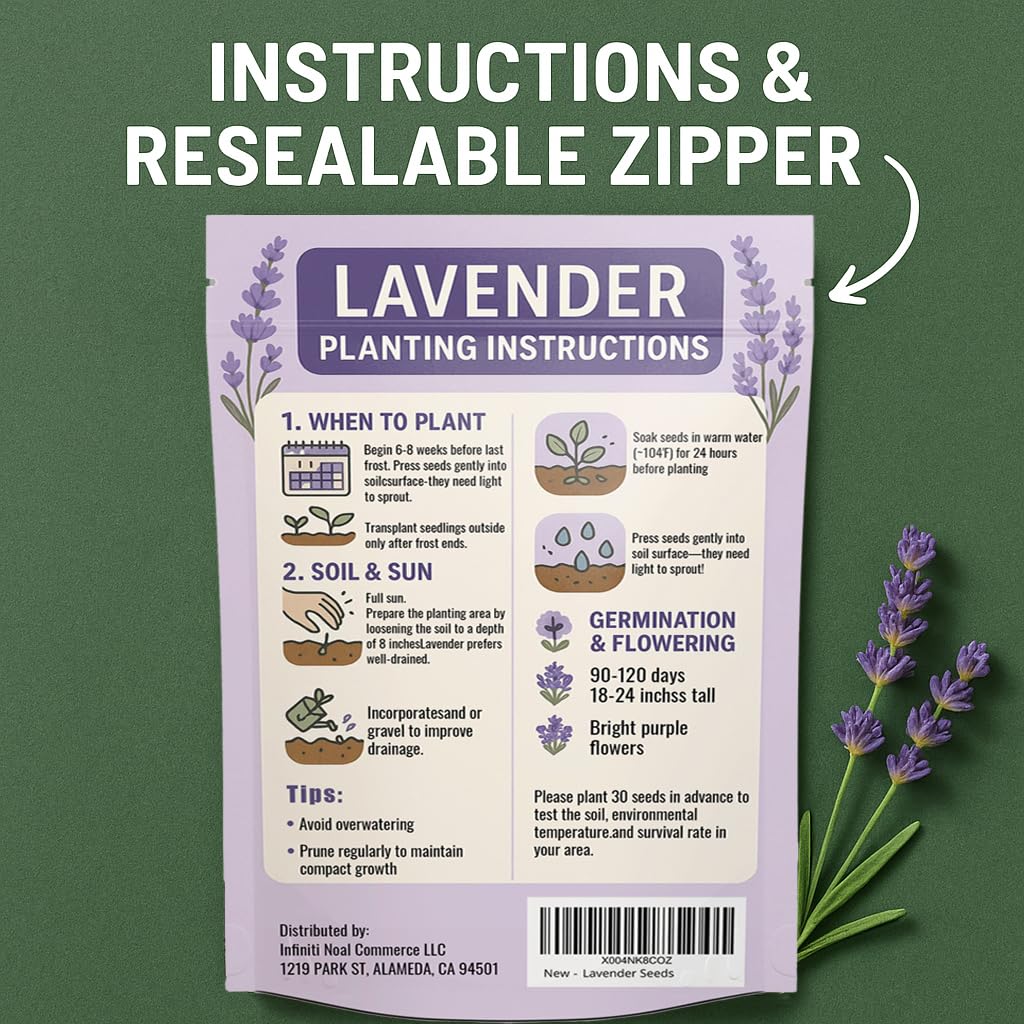 Amazon.com : 20,000+ Lavender Seeds for Planting Bulk - English Lavender  Seeds Indoor & Outdoor, Non-GMO Heirloom Seeds for Large Gardens, Borders,  Patios, Pots, Fragrant Flowers, Dried Bouquets & Crafts : Patio,