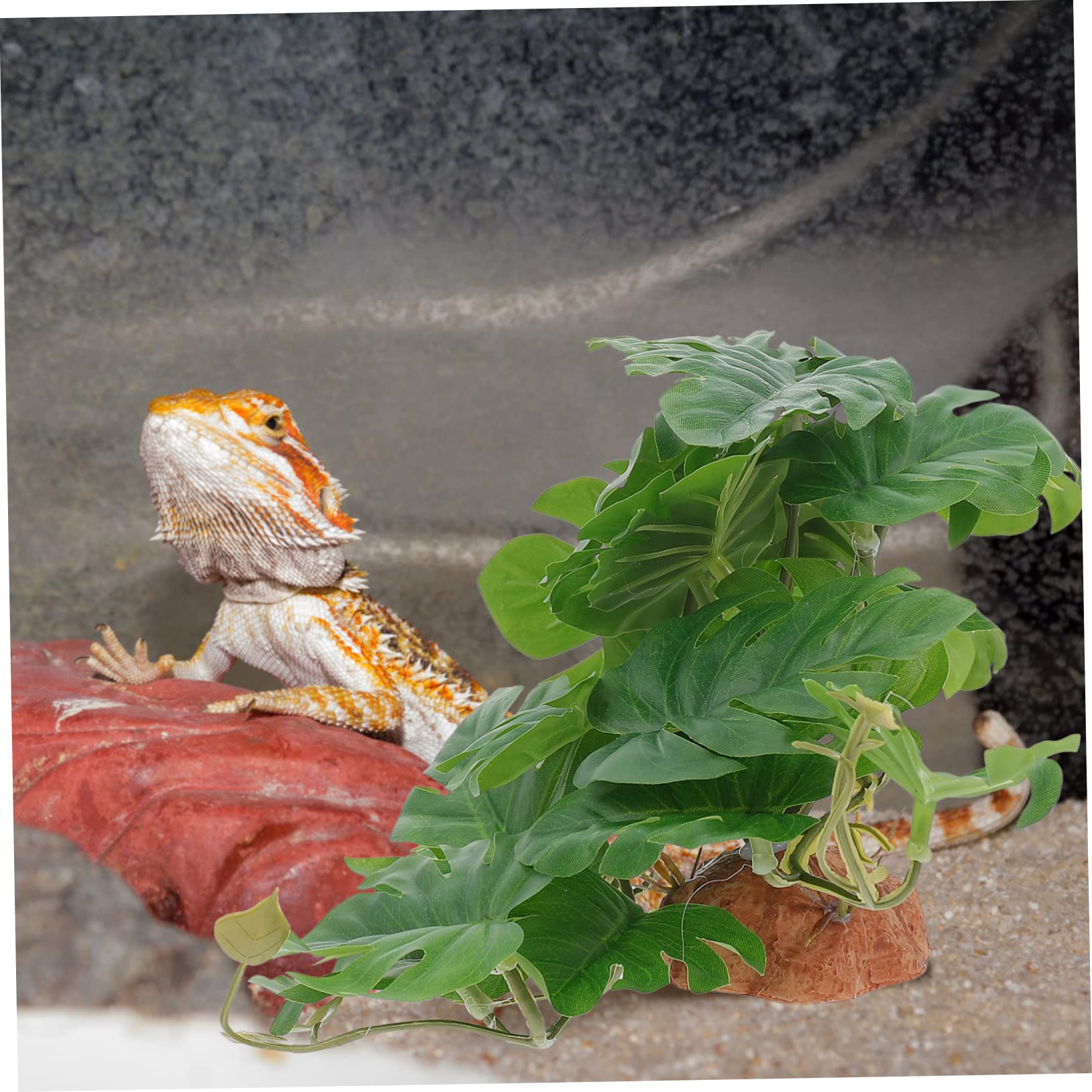 DOITOOL 3piezas Artificial De para Terrario Decoración De Paisaje Natural Simulación De Flora para Caja De Reptiles Accesorio Lifelike para y Anfibios