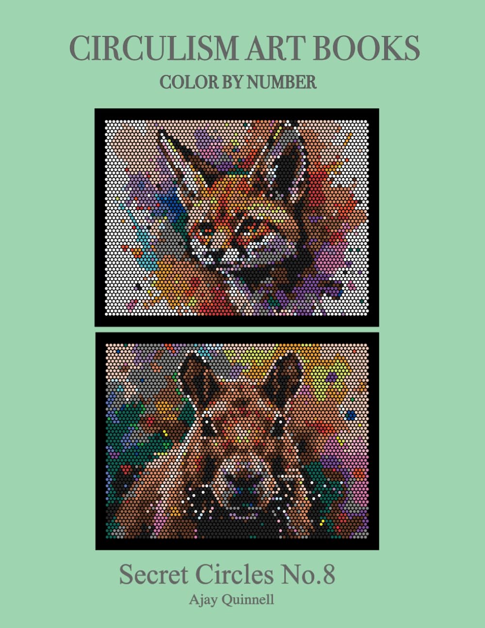 Secret Circles No.8 - Color By Number Circulism Book : Standard Paper edition
