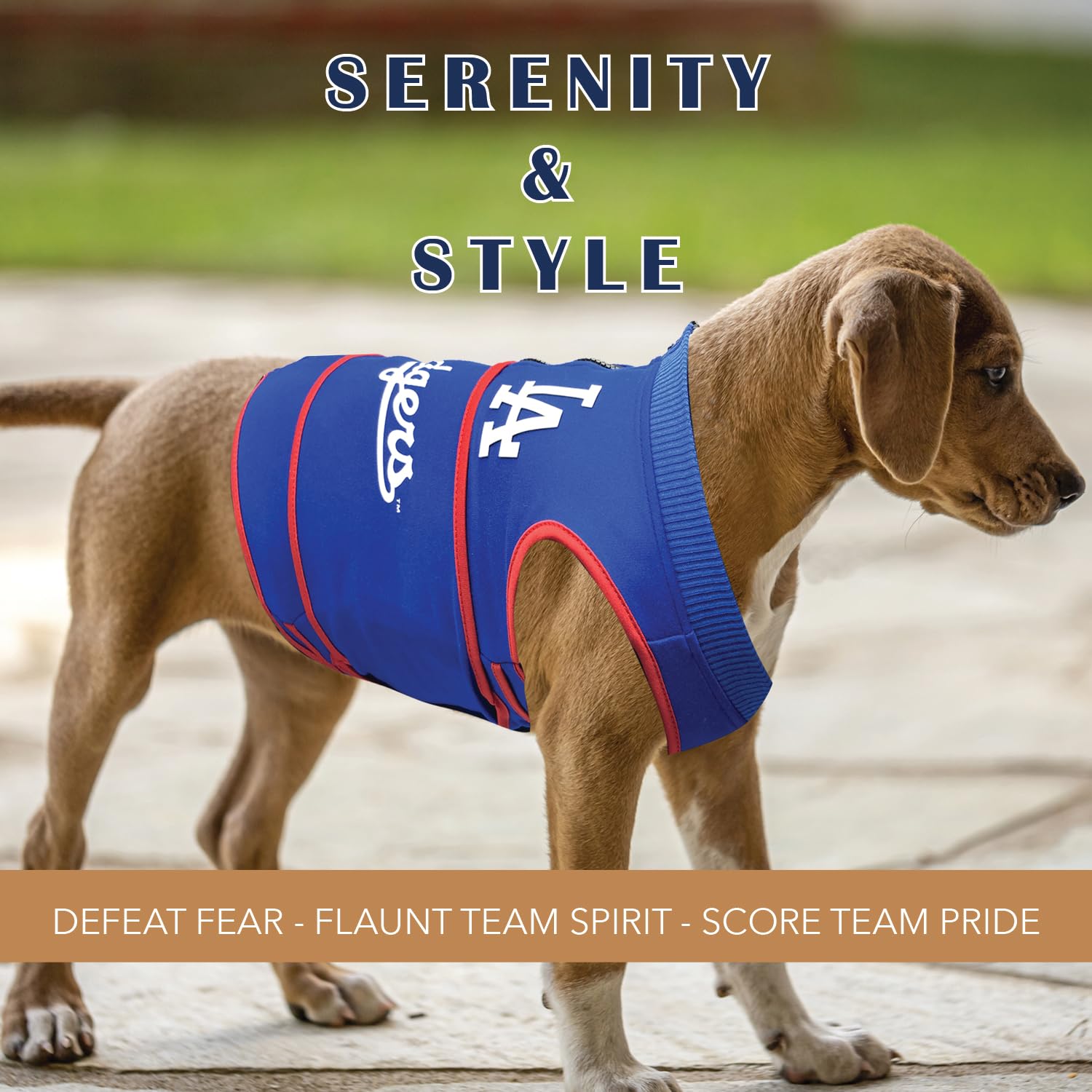 MLB Los Angeles Dodgers - Chaleco calmante para la ansiedad para perros y gatos con ansiedad, miedos, fuegos artificiales, ruidos fuertes, oscuro, solitario, mantiene a los perros tranquilos y seguros