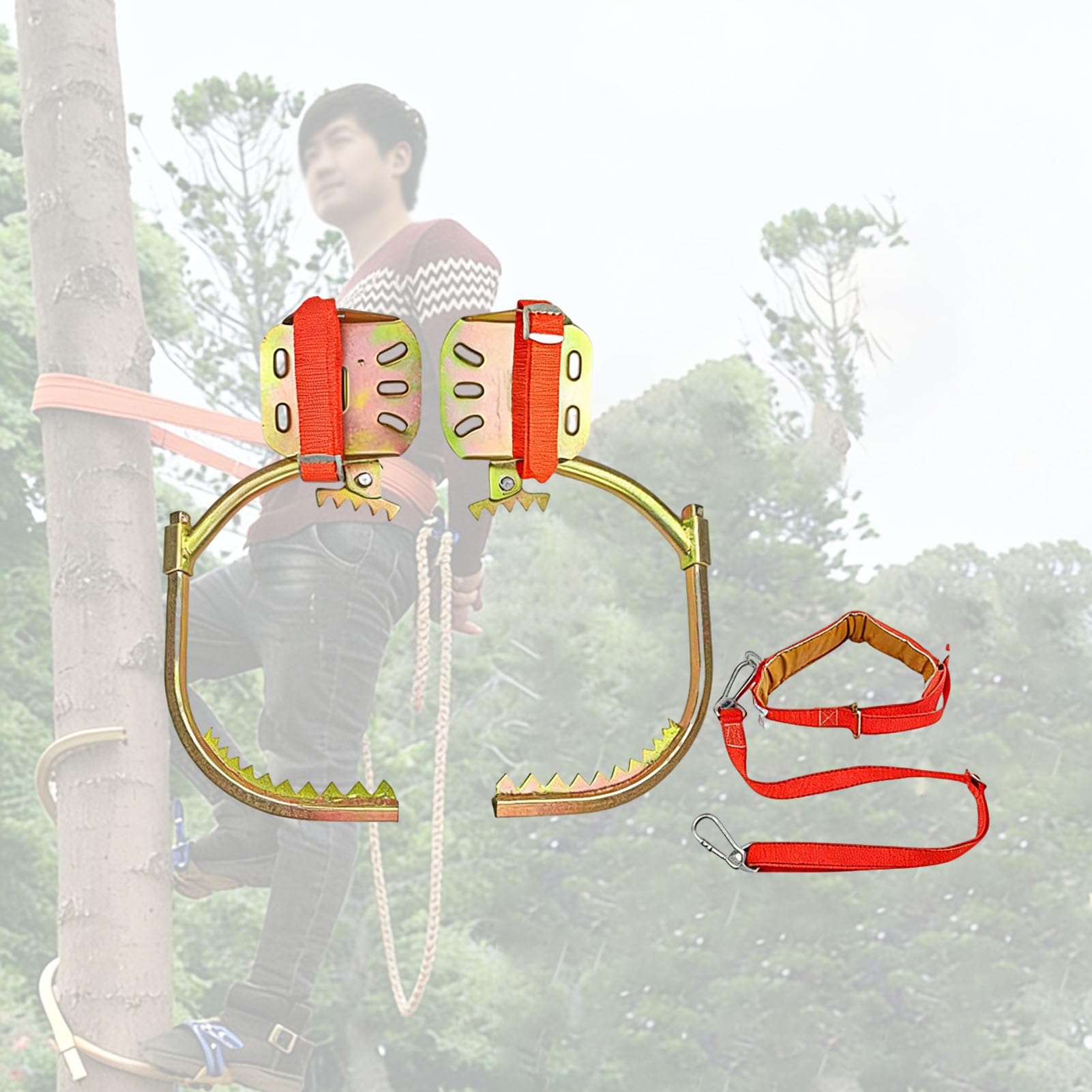 Set Completo di Ramponi per Alberi,Strumento Professionale con Design Antiscivolo,Resistente Duraturo per Arrampicata su Pali Lampioni Raccolta Cocco,350#