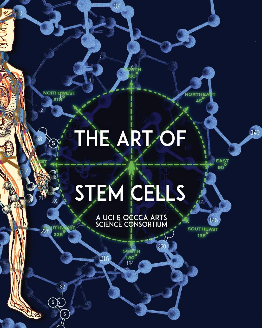 Buy The Art of Stem Cells A U.C.I. & O.C.C.C.A. Arts Science