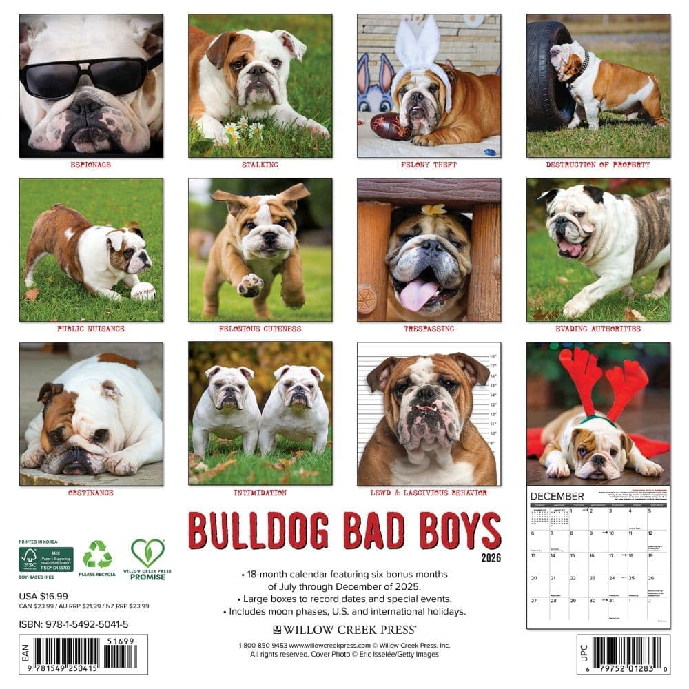 Bulldog Bad Boys 2026 12 X 12 Wall Calendar