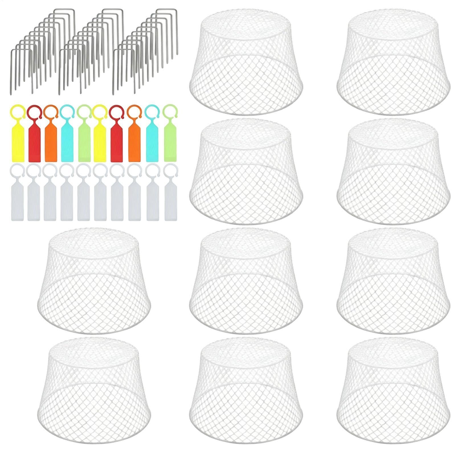 Cloches d'extérieur en maille de fer, 10 pièces, 20,5 x 15 x 10,5 cm, clôtures de protection pour jardin, parterres de fleurs et protection de jeunes végétations