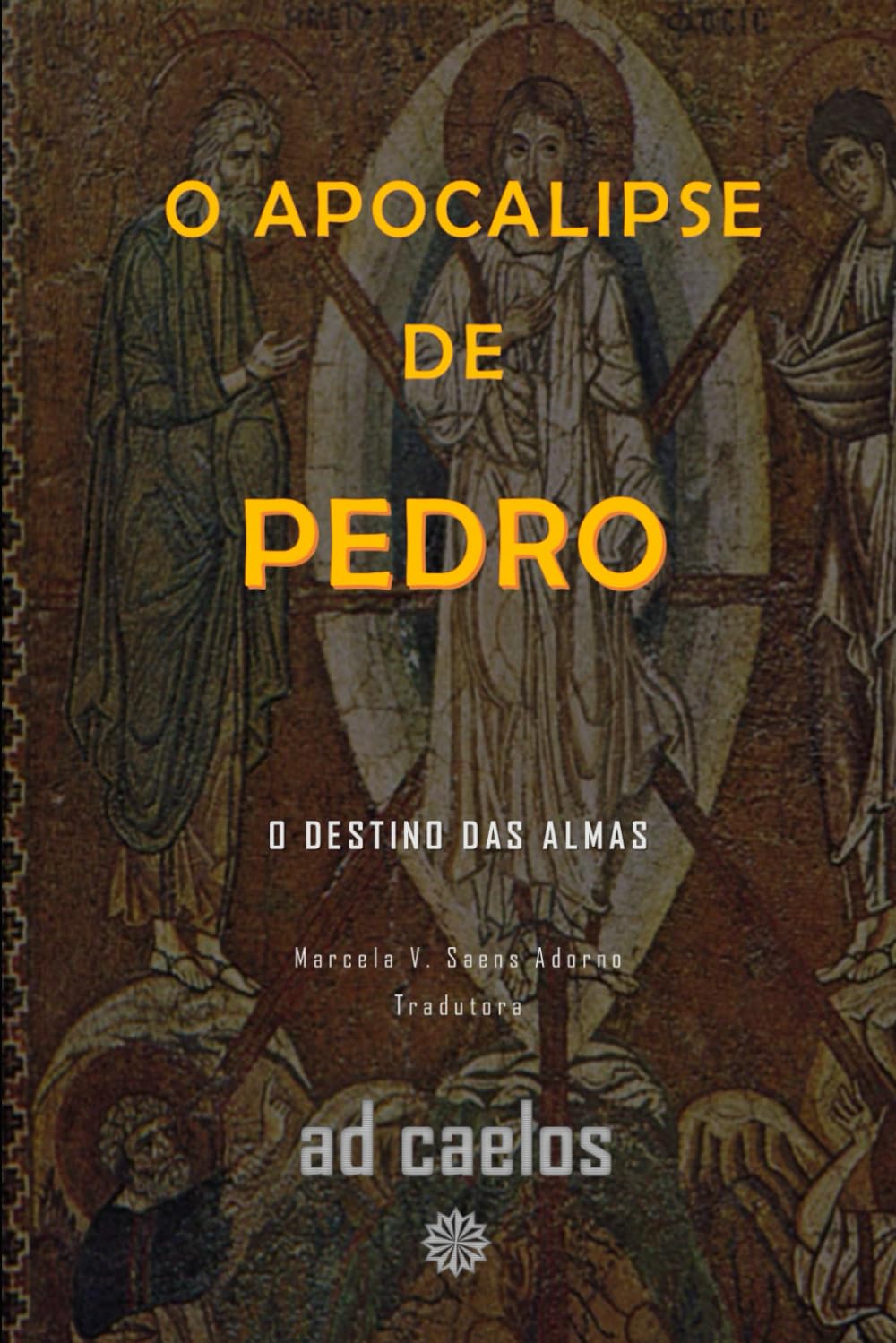 O Apocalipse de Pedro: O destino das almas (Série Apocalipses e Visões)