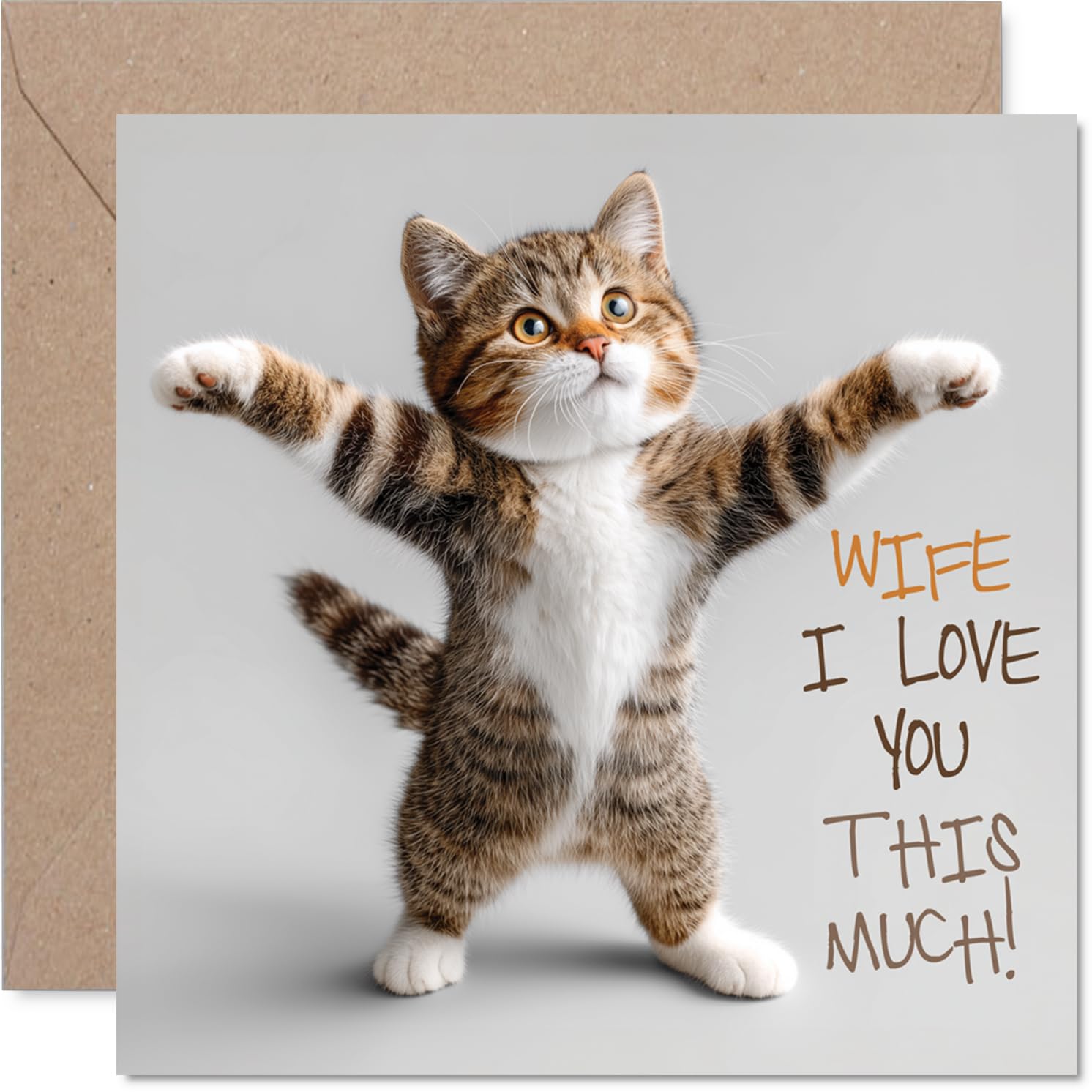 Wife Birthday Card - Love You This Much! - Happy Birthday Card for Wife from Husband Partner, 145mm Purrfect Cat Lover Bday Greeting Cards