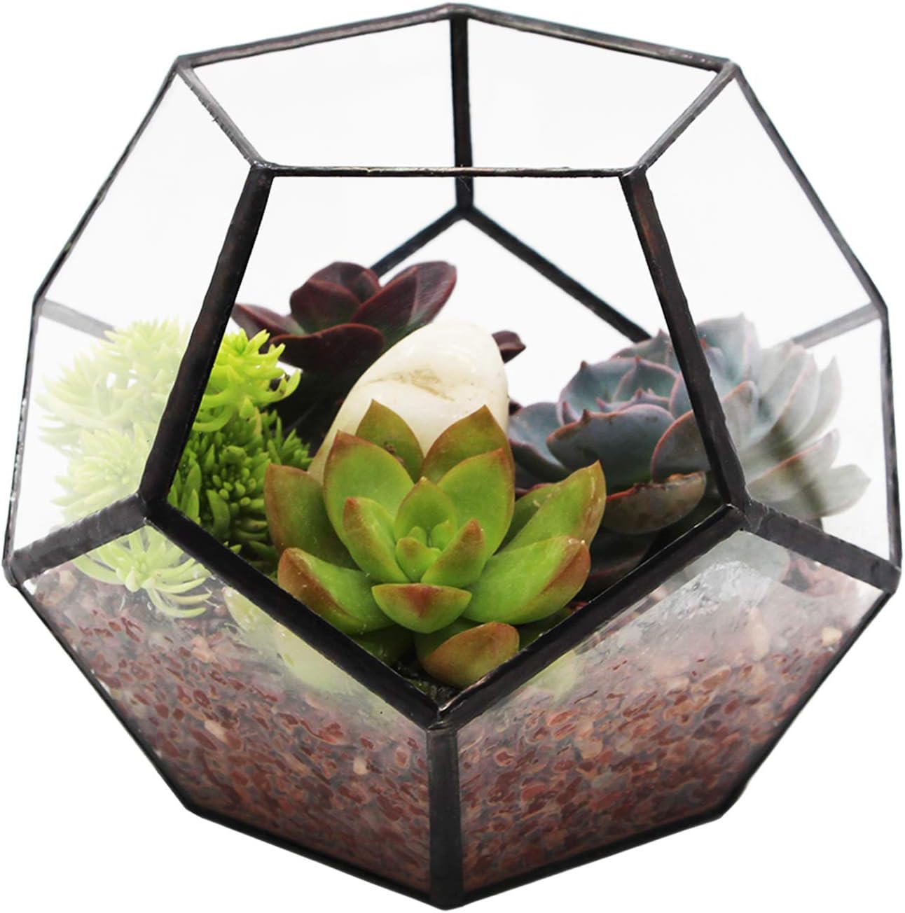 Geometric Terrarium Clear Glass Tabletop Planter Air Plant Holder Display for Succulent Fern Moss Air Plants Holder Miniature Outdoor Fairy Garden DIY Gift