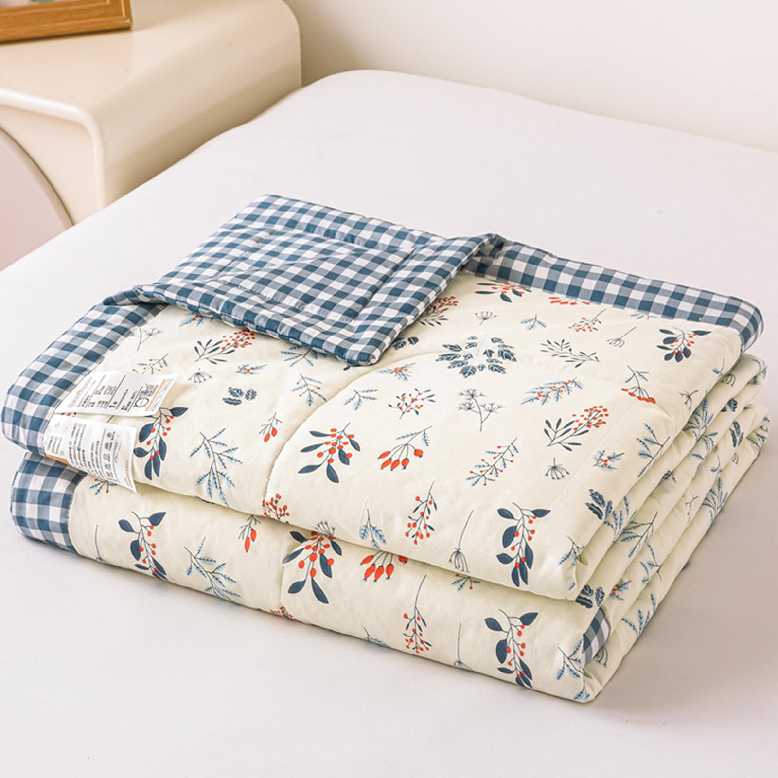 Zcxryfl E Thin Cool Quilts Summer Quilt Washabl Duvet, For Single/Double/Sofa Throw/Lunch Break Blanket/Student Dormitory/Hot Nights, Interior Xterior Cotton(King: 200X230cm,)
