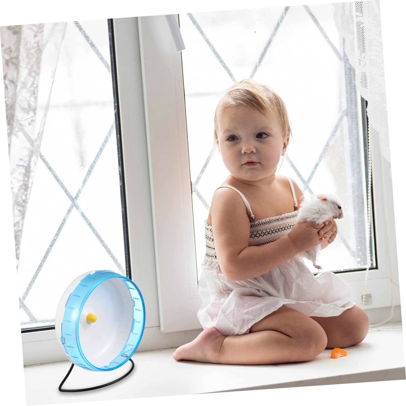 Hamsterlaufrad Leises Laufrad für Kleintiere, Blau