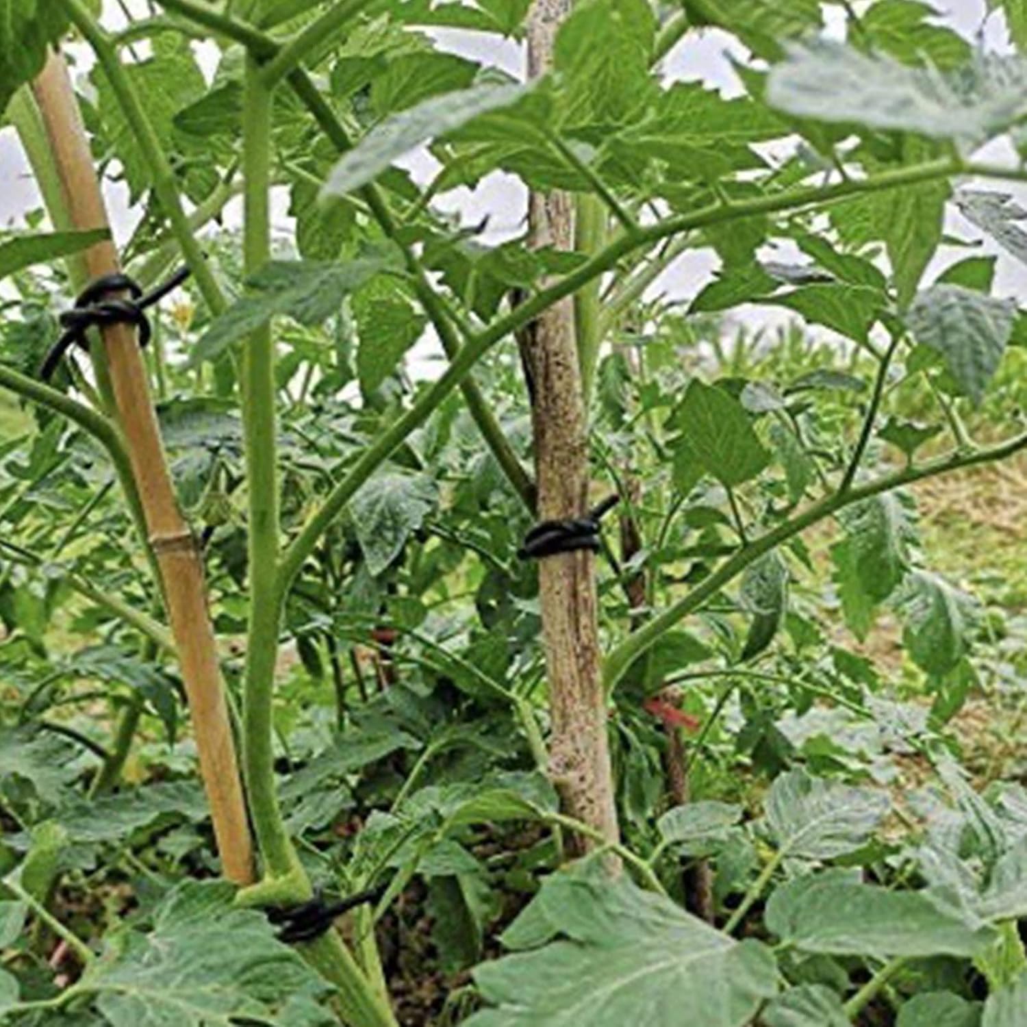 YOUEON 2 Pack 524 Feet Rubber Garden Twine, Hollow Soft Tree Ties Plant Ties for Supporting Growth Plant, Garden Tape Tree Support, Black and Green : Patio, Lawn & Garden