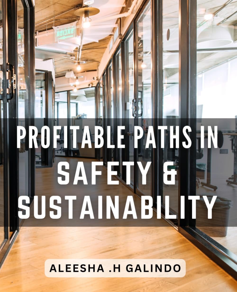 Profitable Paths in Safety & Sustainability: Unlocking the Secrets to Profitable and Sustainable Business Practices for Increased Success and Impact
