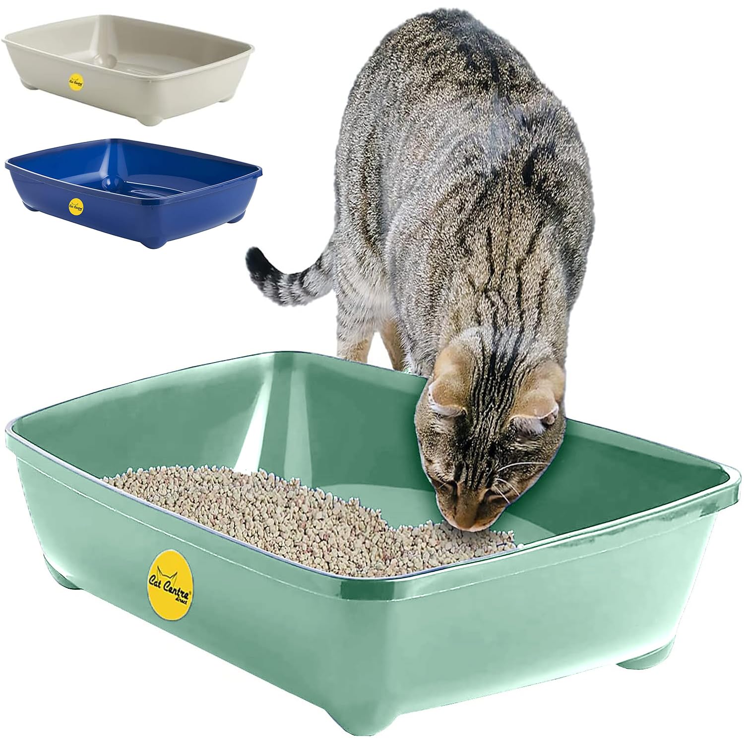 Green Jumbo Open Cat Litter Tray 56cm XL Pet Toilet Kitten Easy Clean Plastic Portable Pan Loo Box Rounded Corners - Indoor & Outdoor - Kittens Adult Elderly Cats Trays Easy Access