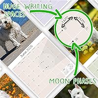 Vista 1413 de Razas de Perros 2017