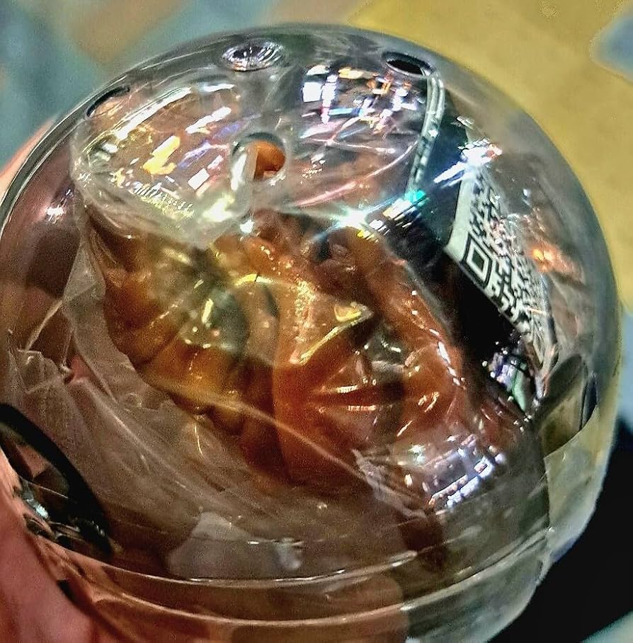 その他 Abao beetle dede 🪲BEETLE DEDE 🕷️ baby by Designer: ABAO - YouTube