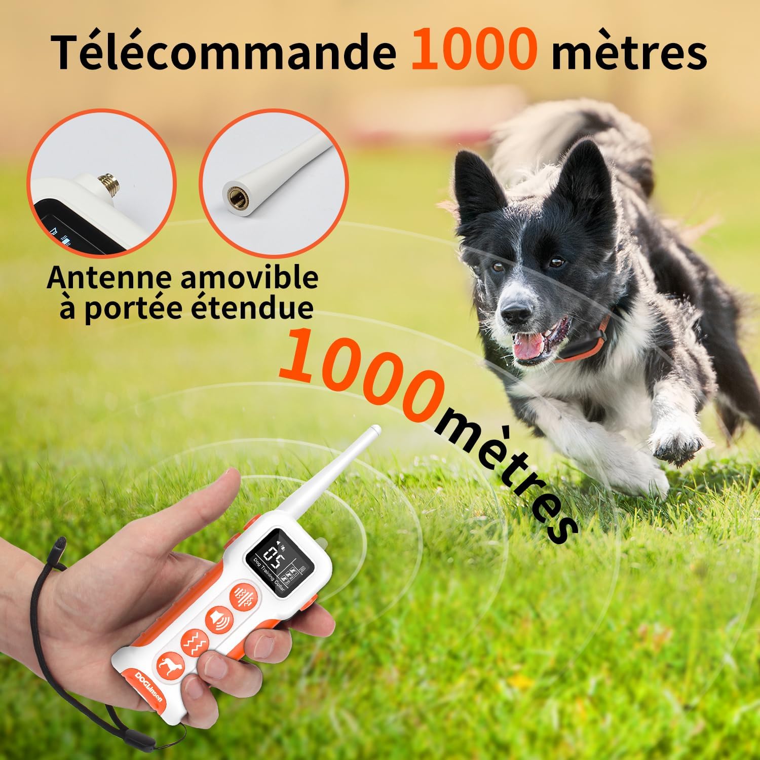 Utilisation collier DOGLinsen dressage en extérieur