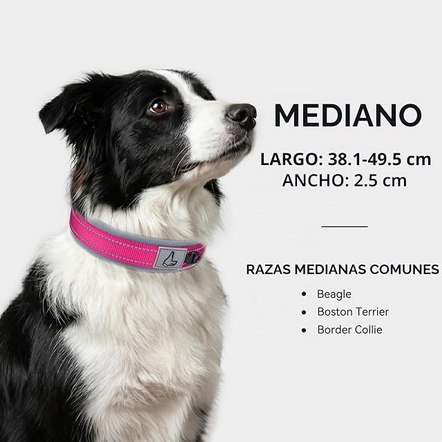 Foto 5 de 6 de Joytale Collar Perro Mediano, Resistente y Reflectante, Ajustable de Acolchado Neopreno Nylon, Fucsia, M