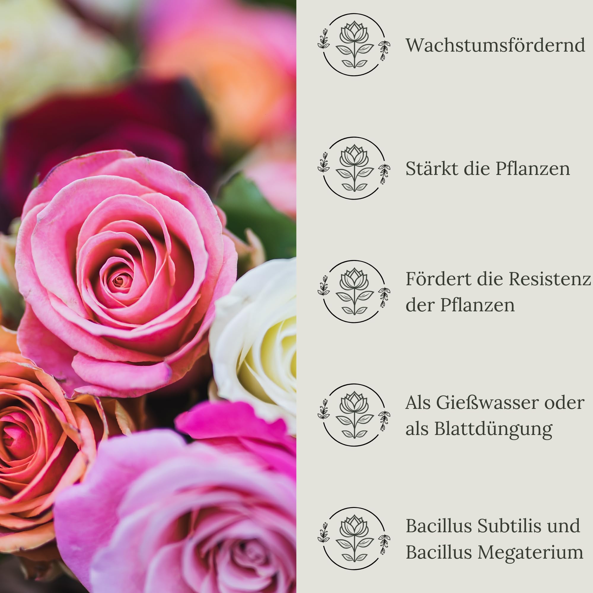 Floravera Premium Rosen Bio-Flüssigdünger 1 Liter Rosendünger Dünger (1 Liter)