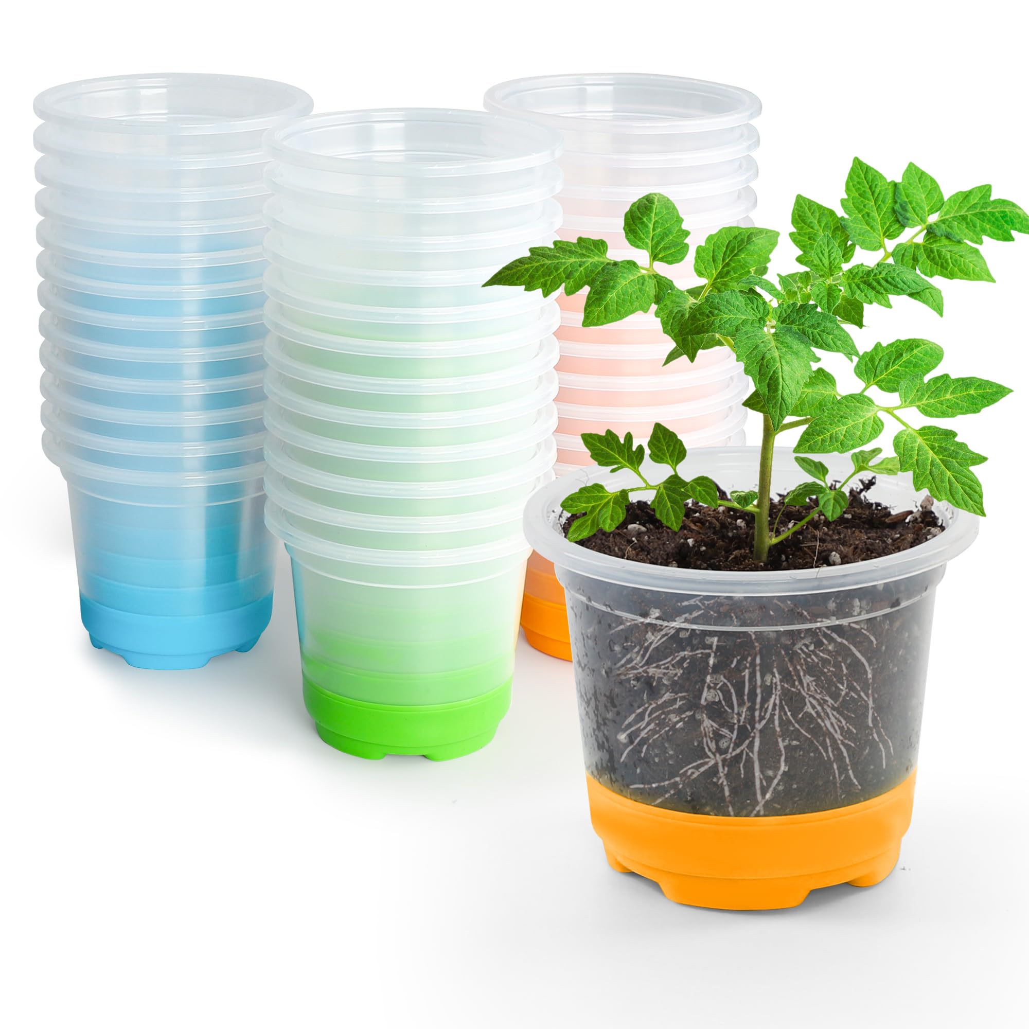 Bonviee36 Packs 4 inch Reuseable Clear Nursery Pots with Silicone Base for Easy Transplanting, Seedling Seed Starter Pots with Durable Plastic Materail for Seasons Germination-Multi Colors