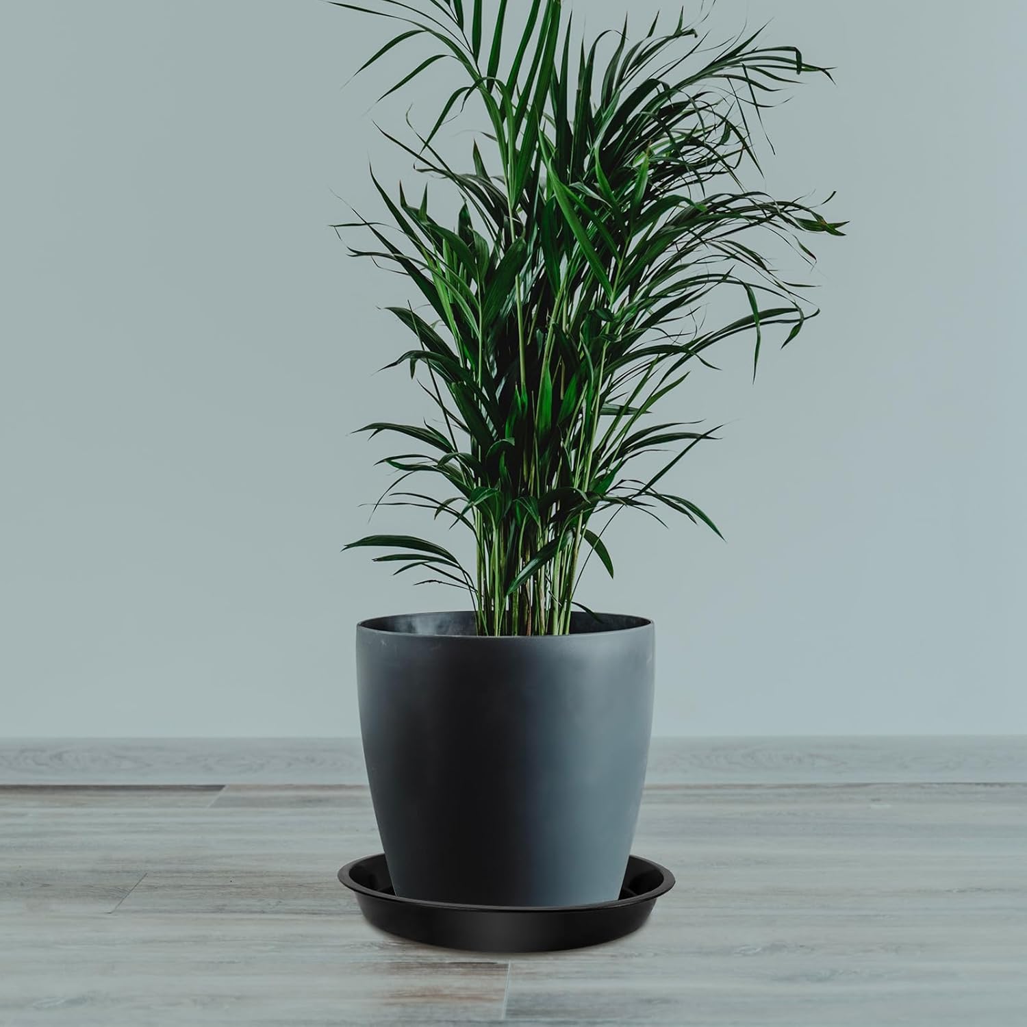 Plant Saucer 4 6 8 10 12 Inch, 4 Pack Plant Tray for Planter Pot, Plastic Flower Pot Saucers Drip Water Trays for Indoors and Outdoors (10 Inch) - Image 5