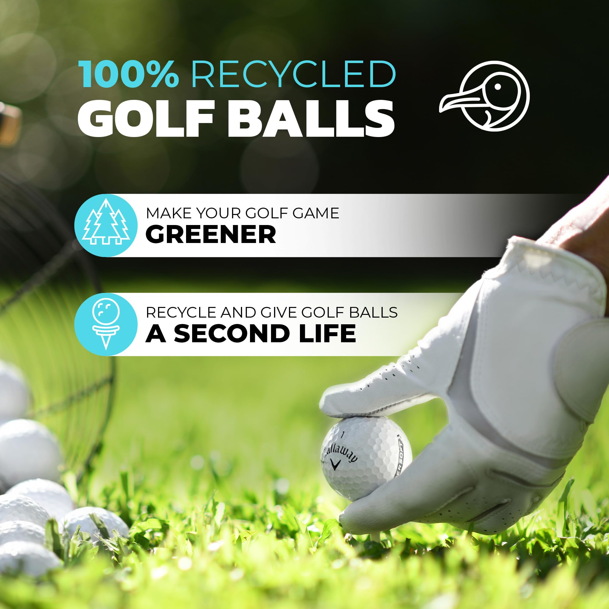 ZUSSET Albatross Assorted Recycled Golf Ball – Hit Away Golf Balls, Used Golf Balls Perfect for Practice & Range Balls Hitting (50)