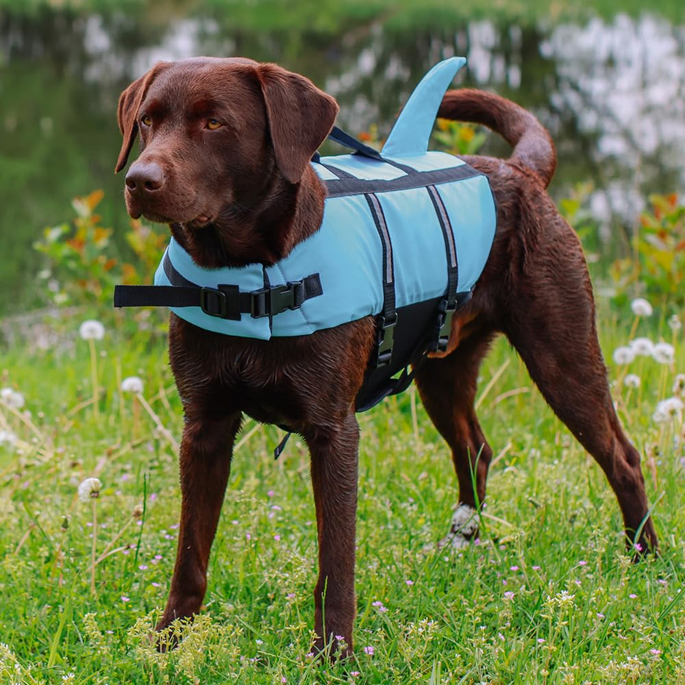 Nobby 61031 Hunde Schwimmhilfe Sharki hellblau Größe: S, 30 cm