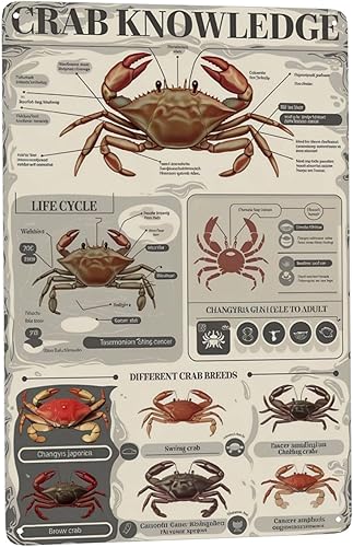 Póster de lata de anatomía de cangrejo de 8 x 12 pulgadas, decoración de aula de biología marina para laboratorio de ciencias, hogar costero y