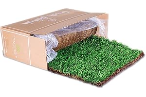 Fresh Patch XL Real Grass Pee Pad for Large Dogs