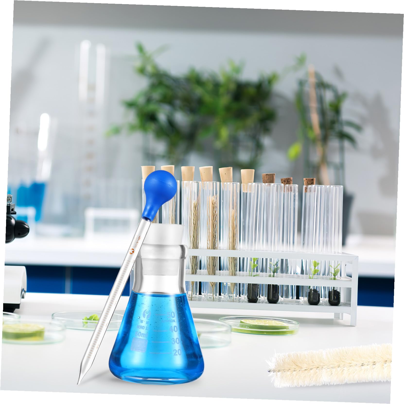 Set Beuta Erlenmeyer in Vetro 50 Ml con Pipette e Asta di Vetro