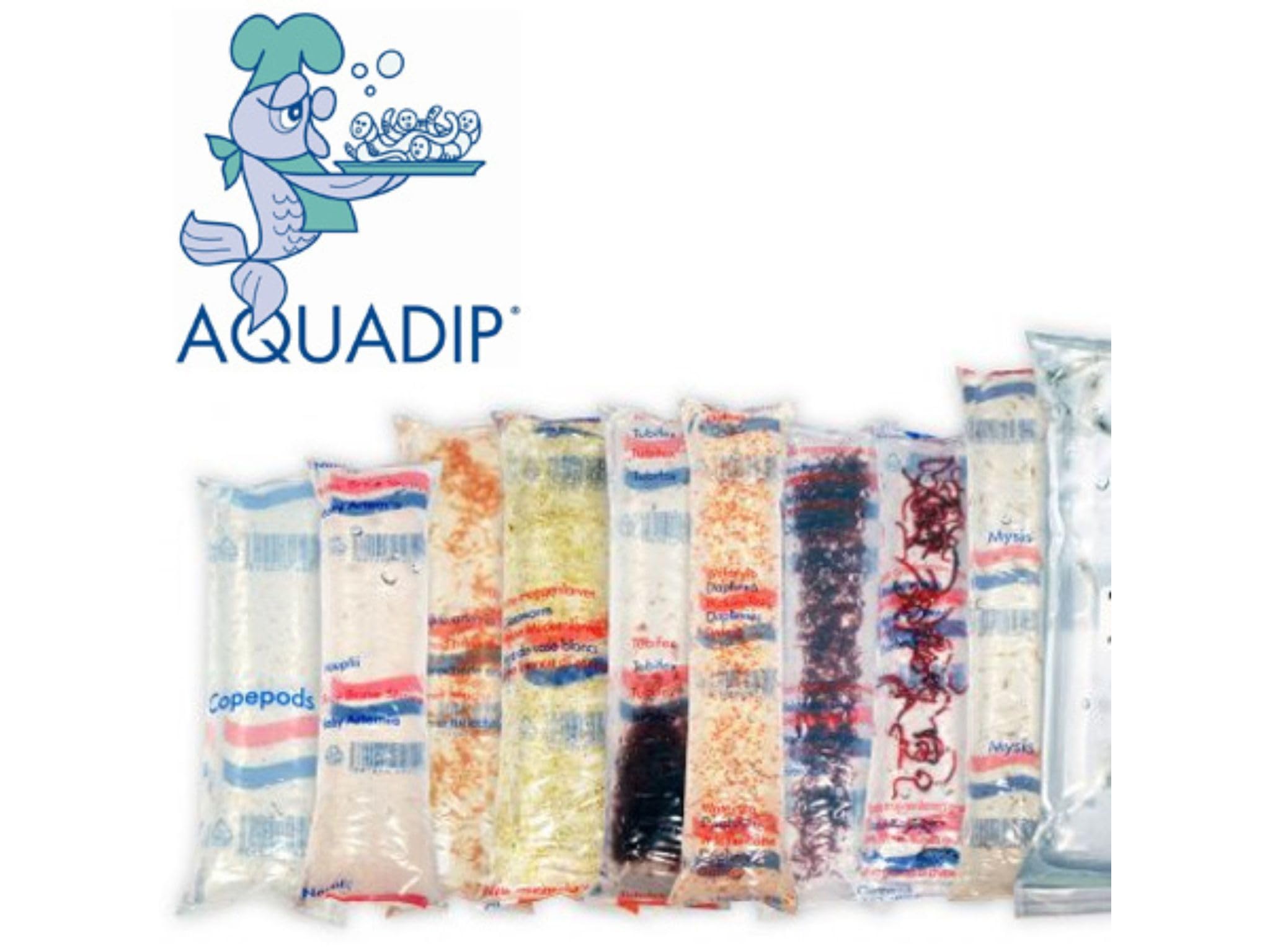 Mix of 10 Live Aquarium Foods - Pack Includes Fresh Brine Shrimp, Bloodworms for Tropical, Live Daphnia & More Random Selection Fish Feed (Dispatched on Fridays, Next Day)