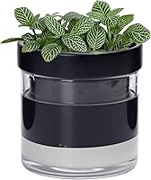 Vista 18 de Phoenix Vine Maceta de riego automático de 4 pulgadas, maceta de arcilla de terracota con depósito de vidrio para plantas de interior, hierbas
