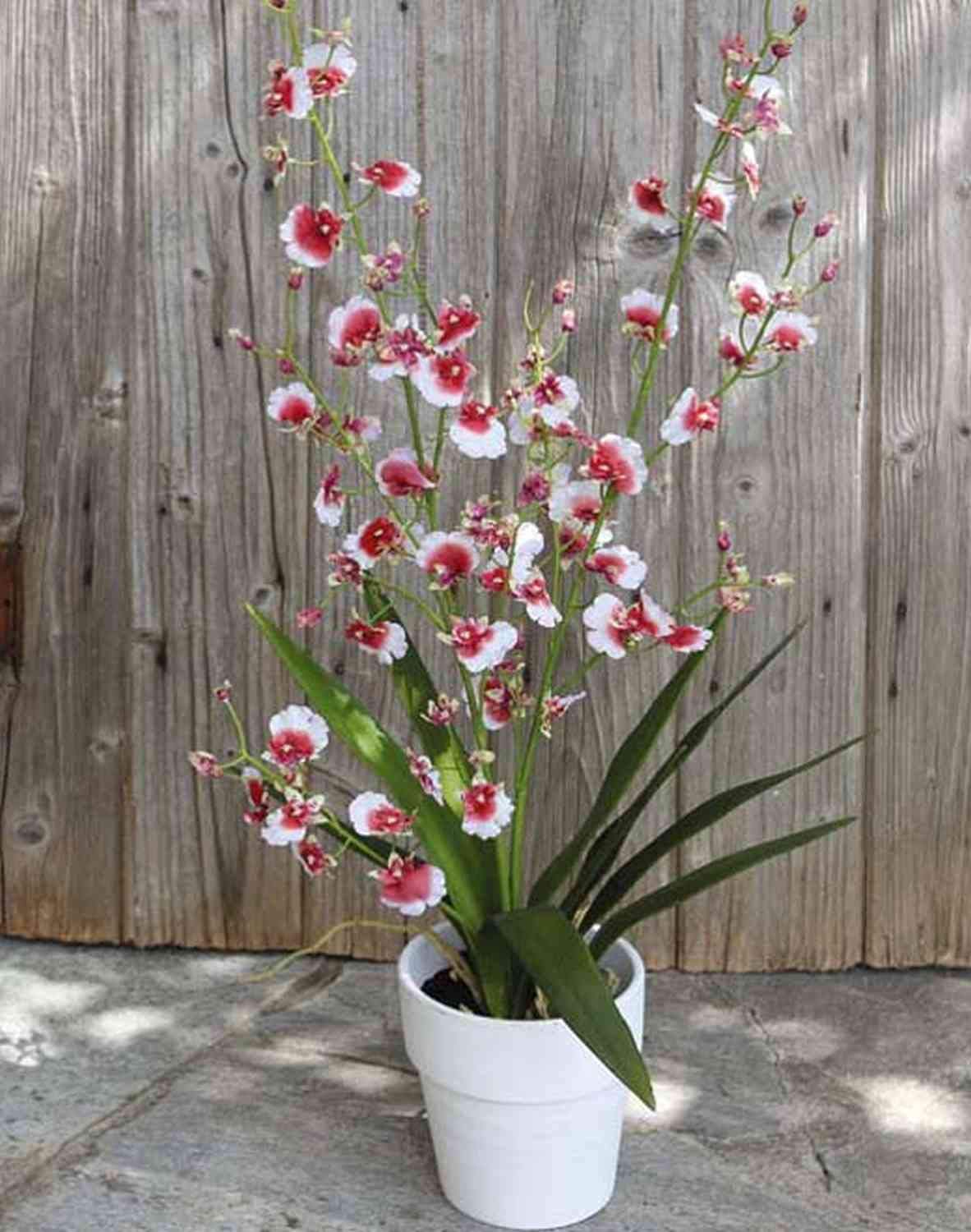 artplants.de Orchidée Oncidium Artificielle YOSEPHIN en Pot, 75cm