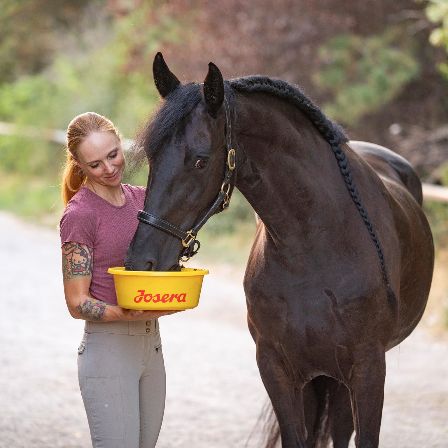 Josera Joker Mineral, 1 x 15 kg, Comida para Caballos Premium para Todas Las Razas en Cualquier Etapa de la Vida, Solución Total óptima, Huesos y articulaciones Fuertes, Alimento Mineral