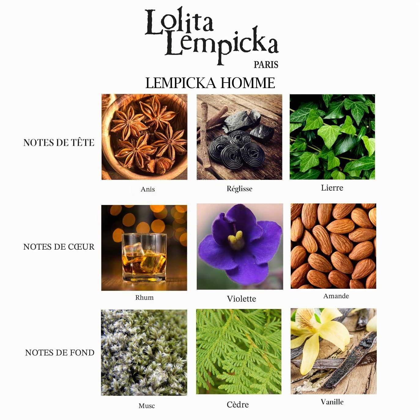 Homme par Lolita Lempicka Eau de toilette vaporisateur 100 ml