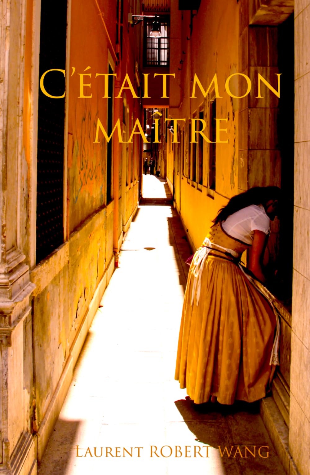 C'était mon Maître: Dialogues apocryphes de Plotin