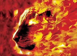 Flaming Passion - Worship Flag - M-Size with Telescoic Pole - (Single - 1 flag)