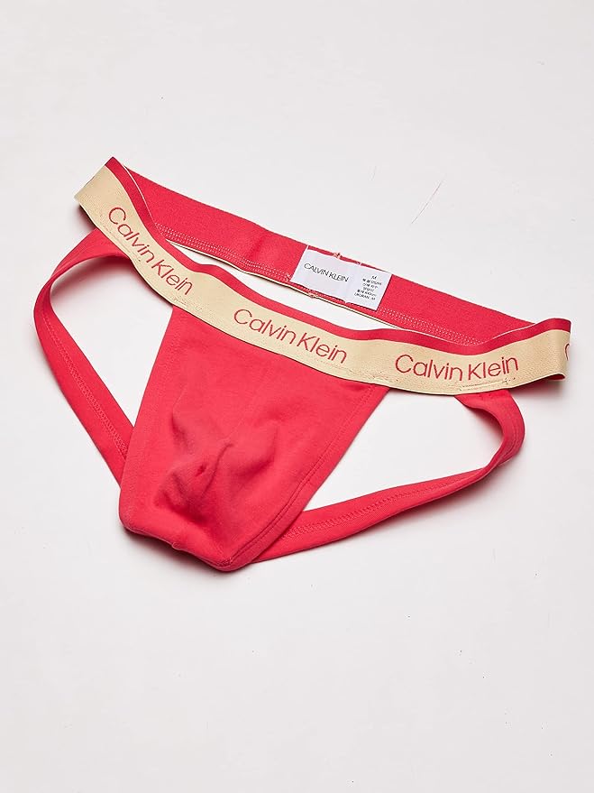 jockstrap calvin klein pride
