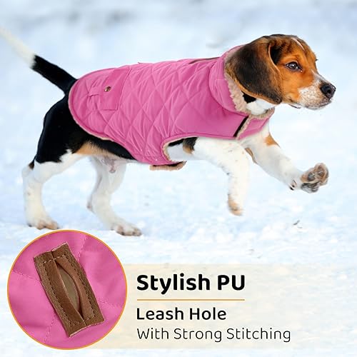 Miniatura 5 de Queenmore Abrigo de invierno para perro, chaqueta de invierno de forro polar para perro, ropa impermeable para perros para clima frío, acolchado de