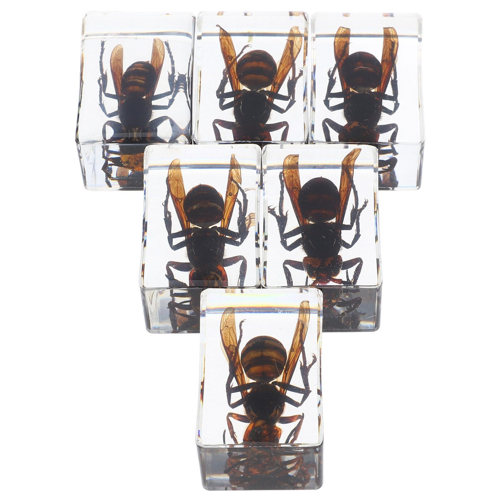 Pisapapeles de resina forma de avispa YARNOW pack de 6 unidades 8