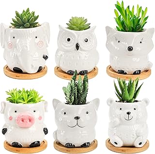Peohud 6 Pack Ceramic Succulent Pots, 3.3 Inch Cute Animal Shaped Succulent Planter with Drainage and Bamboo Tray for Air Plants Flower Cactus for Living Room, Bedroom, Office, Home Décor Gift