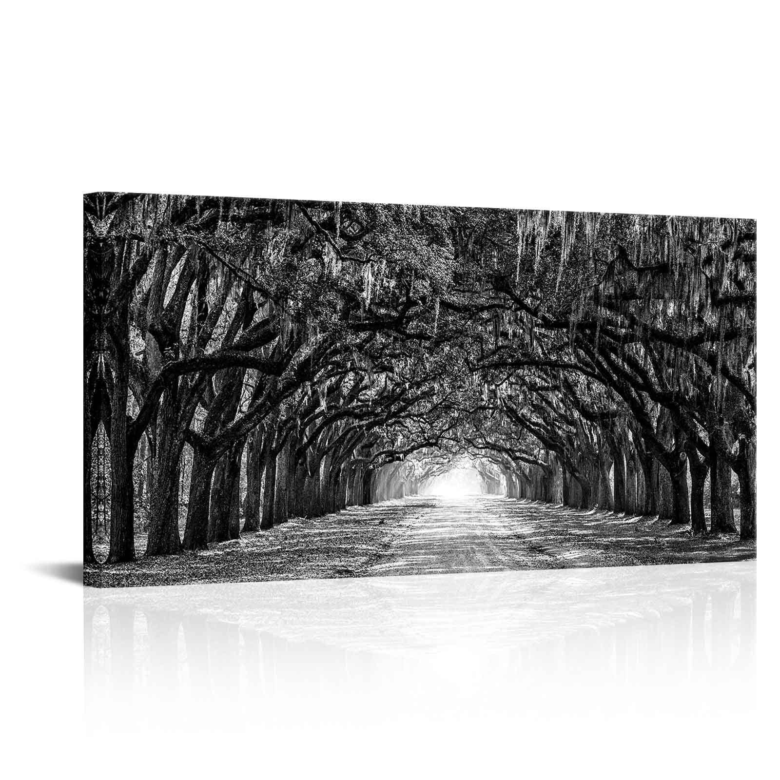 Photo 1 of RnnJoile Oak Tree Wall Art Black and White Tree Painting Picture Oak Lined Road at Historic Wormsloe Plantation Savannah Georgia Prints Home Office Decor Framed 24" x 48" Black White