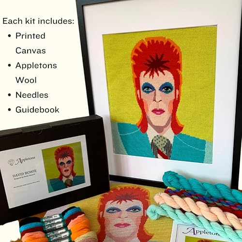 Miniatura 3 de HM NABAVIAN Appletons - Kit de punto de aguja de lana - Rango de retratos - David Bowie diseñado por Emily Peacock