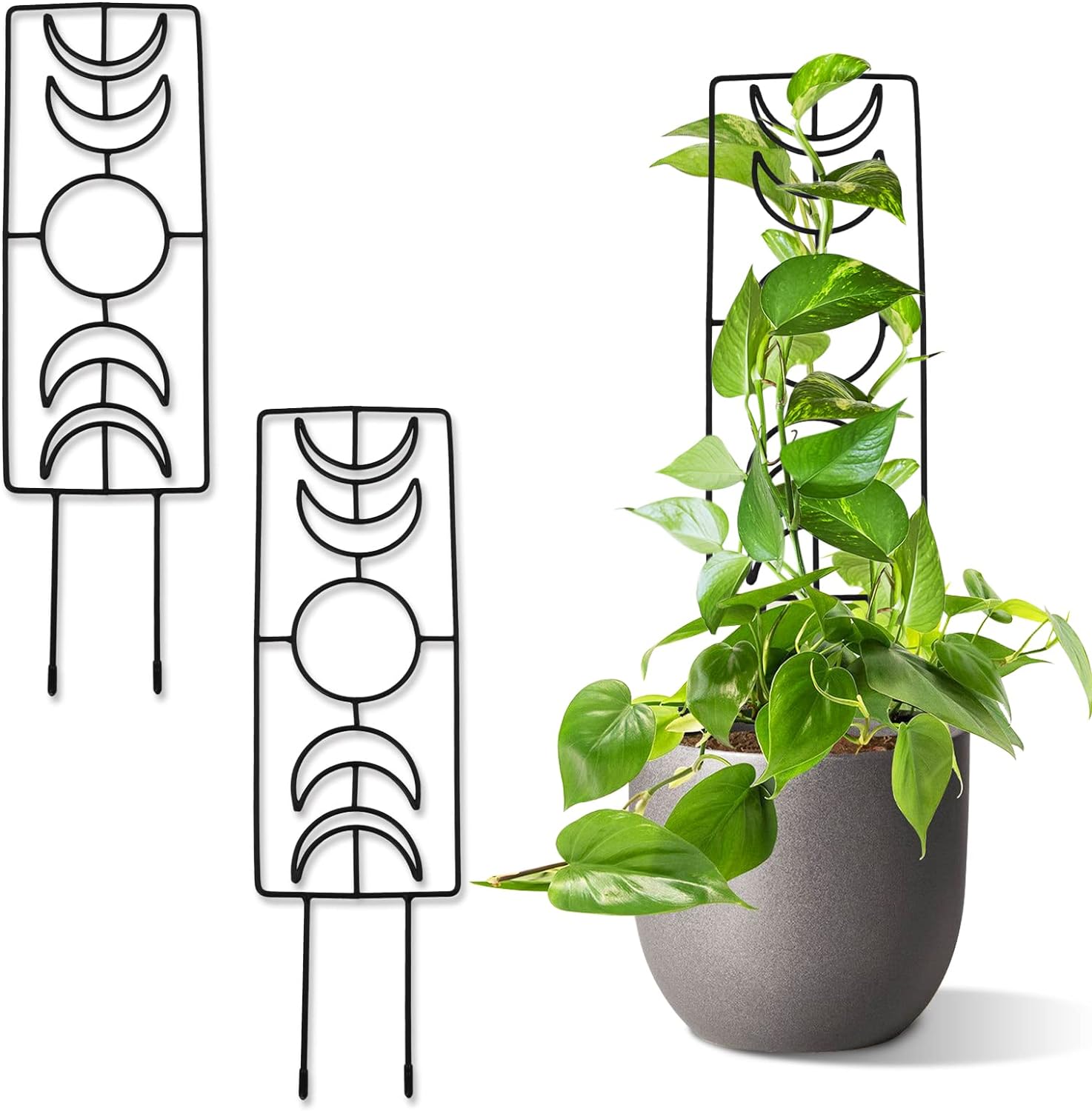 Tuitessine Moon Phase Trellis Indoor Plant Trellis